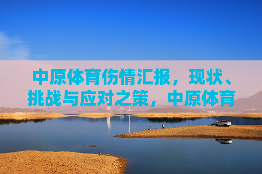 中原体育伤情汇报，现状、挑战与应对之策，中原体育伤情，现状、挑战与应对之策