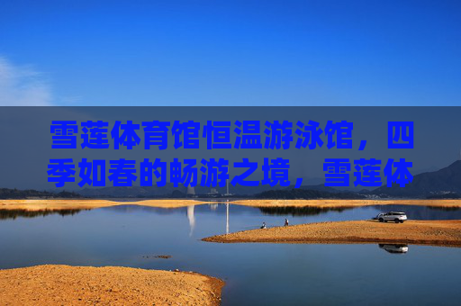 雪莲体育馆恒温游泳馆，四季如春的畅游之境，雪莲体育馆恒温游泳馆，四季如春畅游境
