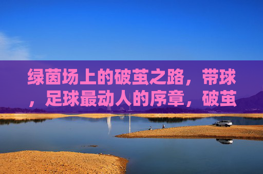 绿茵场上的破茧之路,带球,足球最动人的序章,破茧带球,绿茵足球的动人序章 绿茵场上的破茧之路,带球,足球最动人的序章,破茧带球,绿茵足球的动人序章