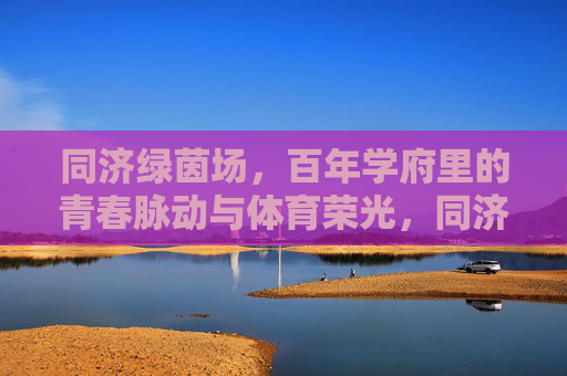 同济绿茵场，百年学府里的青春脉动与体育荣光，同济绿茵场，百年学府的青春脉动与体育荣光