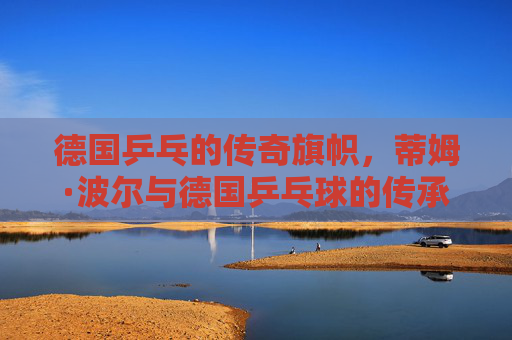 德国乒乓的传奇旗帜，蒂姆·波尔与德国乒乓球的传承之路，蒂姆·波尔，德国乒乓的传奇旗帜与传承之路