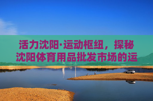 活力沈阳·运动枢纽,探秘沈阳体育用品批发市场的运动基因,沈阳体育用品批发市场,活力运动枢纽的基因密码 活力沈阳·运动枢纽,探秘沈阳体育用品批发市场的运动基因,沈阳体育用品批发市场,活力运动枢纽的基因密码