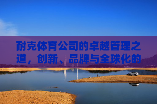 耐克体育公司的卓越管理之道,创新、品牌与全球化的协同驱动,耐克体育公司的卓越管理,创新、品牌与全球化的协同驱动 耐克体育公司的卓越管理之道,创新、品牌与全球化的协同驱动,耐克体育公司的卓越管理,创新、品牌与全球化的协同驱动