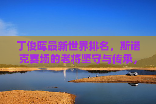 丁俊晖最新世界排名，斯诺克赛场的老将坚守与传承，丁俊晖最新世界排名，斯诺克老将的坚守与传承