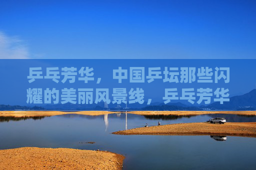 乒乓芳华，中国乒坛那些闪耀的美丽风景线，乒乓芳华，中国乒坛闪耀风景线