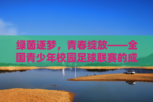 绿茵逐梦,青春绽放——全国青少年校园足球联赛的成长礼赞,绿茵逐梦,青春成长 绿茵逐梦,青春绽放——全国青少年校园足球联赛的成长礼赞,绿茵逐梦,青春成长
