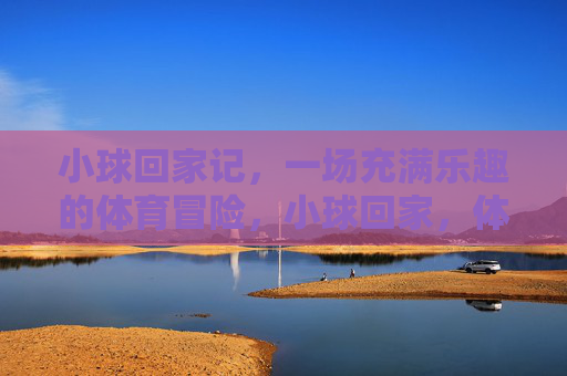 小球回家记,一场充满乐趣的体育冒险,小球回家,体育冒险乐趣 小球回家记,一场充满乐趣的体育冒险,小球回家,体育冒险乐趣