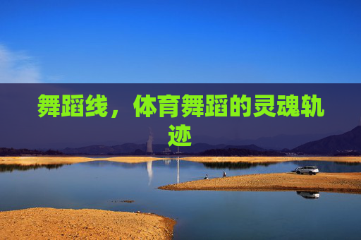 舞蹈线，体育舞蹈的灵魂轨迹