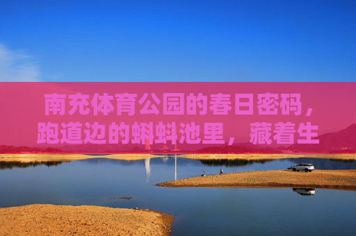 南充体育公园的春日密码，跑道边的蝌蚪池里，藏着生命的童诗，春日蝌蚪池，南充体育公园的生命童诗