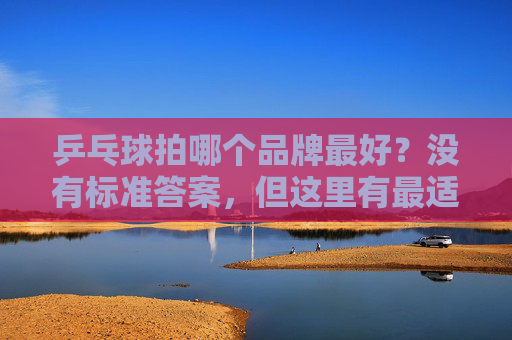 乒乓球拍哪个品牌最好？没有标准答案，但这里有最适合你的选择，乒乓球拍品牌，没有最好，只有最适合