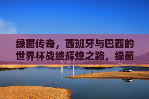 绿茵传奇,西班牙与巴西的世界杯战绩辉煌之路,绿茵双雄,西班牙与巴西的世界杯辉煌之路 绿茵传奇,西班牙与巴西的世界杯战绩辉煌之路,绿茵双雄,西班牙与巴西的世界杯辉煌之路