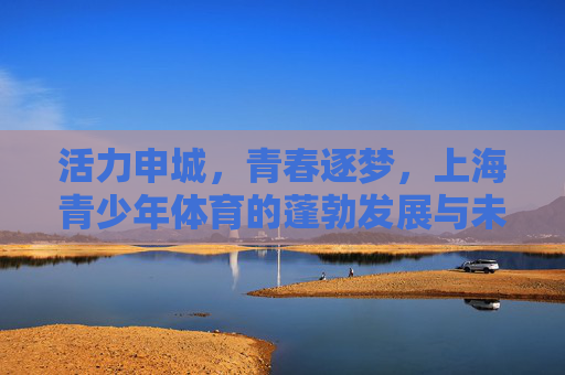 活力申城,青春逐梦,上海青少年体育的蓬勃发展与未来展望,活力申城·青春逐梦,上海青少年体育的蓬勃发展与未来展望 活力申城,青春逐梦,上海青少年体育的蓬勃发展与未来展望,活力申城·青春逐梦,上海青少年体育的蓬勃发展与未来展望