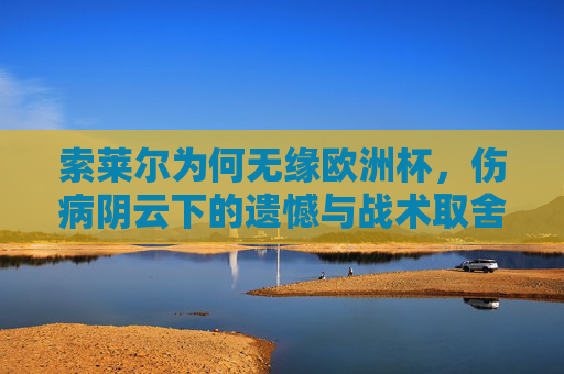 索莱尔为何无缘欧洲杯，伤病阴云下的遗憾与战术取舍，索莱尔无缘欧洲杯，伤病阴云下的战术取舍之憾
