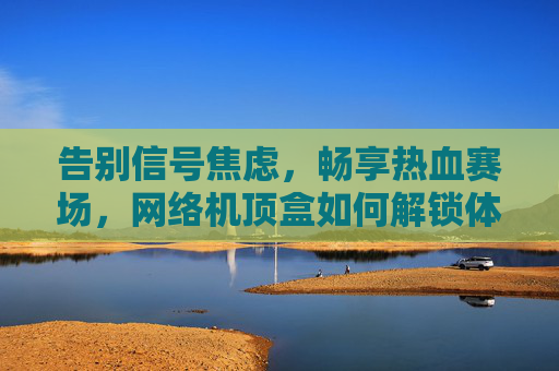 告别信号焦虑，畅享热血赛场，网络机顶盒如何解锁体育观赛新体验？网络机顶盒，告别信号焦虑，解锁体育观赛新体验