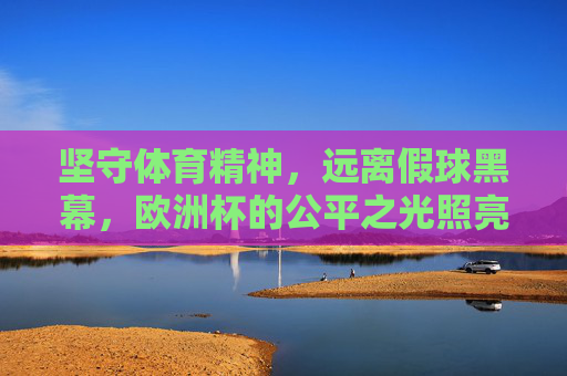 坚守体育精神，远离假球黑幕，欧洲杯的公平之光照亮赛场，欧洲杯，坚守体育精神，公平光照赛场