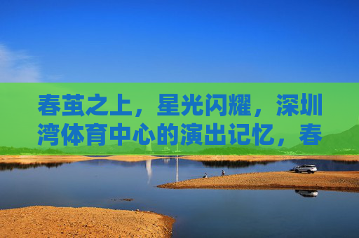 春茧之上，星光闪耀，深圳湾体育中心的演出记忆，春茧星光，深圳湾体育中心的演出记忆