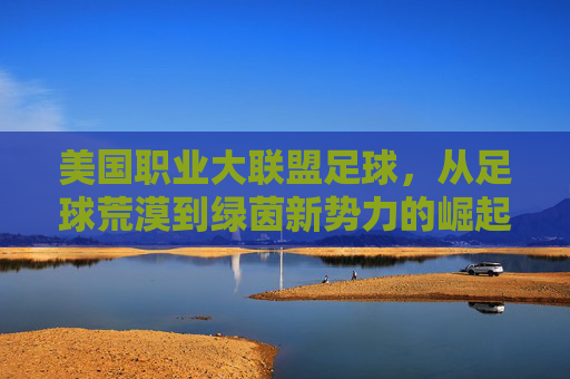 美国职业大联盟足球,从足球荒漠到绿茵新势力的崛起,美职足,从足球荒漠到绿茵新势力的崛起 美国职业大联盟足球,从足球荒漠到绿茵新势力的崛起,美职足,从足球荒漠到绿茵新势力的崛起