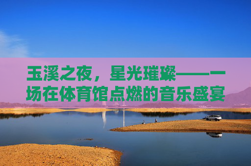玉溪之夜，星光璀璨——一场在体育馆点燃的音乐盛宴，玉溪星光璀璨音乐盛宴