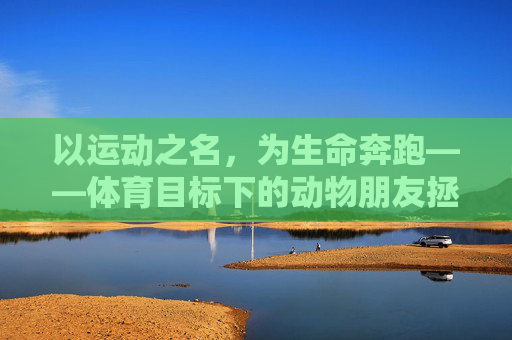 以运动之名,为生命奔跑——体育目标下的动物朋友拯救行动,运动为生命奔跑,拯救动物朋友 以运动之名,为生命奔跑——体育目标下的动物朋友拯救行动,运动为生命奔跑,拯救动物朋友