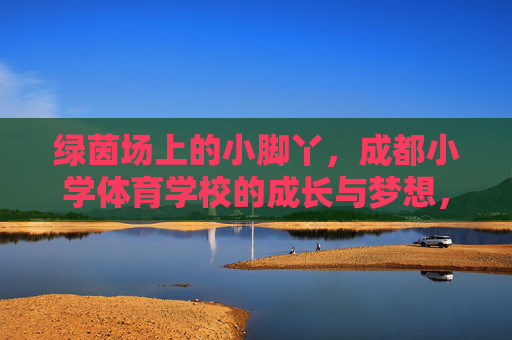 绿茵场上的小脚丫,成都小学体育学校的成长与梦想,绿茵场小脚丫,成都体校成长梦 绿茵场上的小脚丫,成都小学体育学校的成长与梦想,绿茵场小脚丫,成都体校成长梦