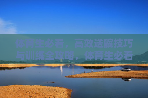 体育生必看,高效送髋技巧与训练全攻略,体育生必看,高效送髋技巧训练全攻略 体育生必看,高效送髋技巧与训练全攻略,体育生必看,高效送髋技巧训练全攻略