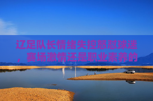 辽足队长情绪失控怒怼球迷,赛场激情还是职业素养的考验?辽足队长怒怼球迷,赛场激情与职业素养的考验? 辽足队长情绪失控怒怼球迷,赛场激情还是职业素养的考验?辽足队长怒怼球迷,赛场激情与职业素养的考验?