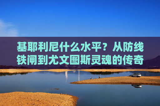 基耶利尼什么水平？从防线铁闸到尤文图斯灵魂的传奇注脚，基耶利尼，从防线铁闸到尤文灵魂的传奇