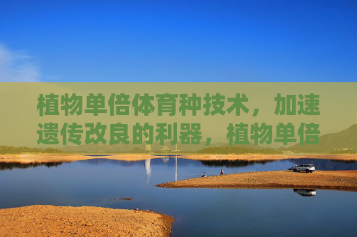植物单倍体育种技术，加速遗传改良的利器，植物单倍体育种技术，加速遗传改良的利器
