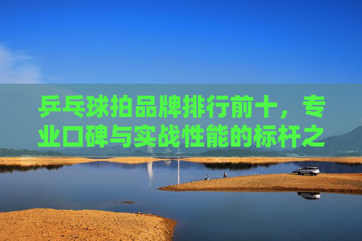 乒乓球拍品牌排行前十,专业口碑与实战性能的标杆之选,乒乓球拍十大品牌排行,专业口碑与实战性能标杆之选 乒乓球拍品牌排行前十,专业口碑与实战性能的标杆之选,乒乓球拍十大品牌排行,专业口碑与实战性能标杆之选