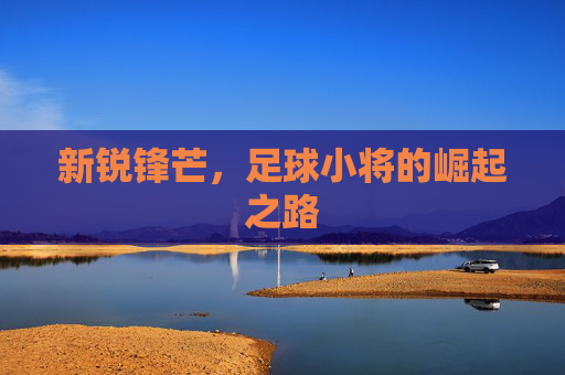 新锐锋芒,足球小将的崛起之路 新锐锋芒,足球小将的崛起之路