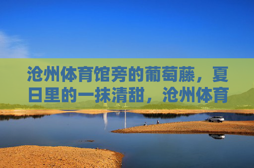 沧州体育馆旁的葡萄藤,夏日里的一抹清甜,沧州体育馆旁,夏日葡萄藤的清甜 沧州体育馆旁的葡萄藤,夏日里的一抹清甜,沧州体育馆旁,夏日葡萄藤的清甜