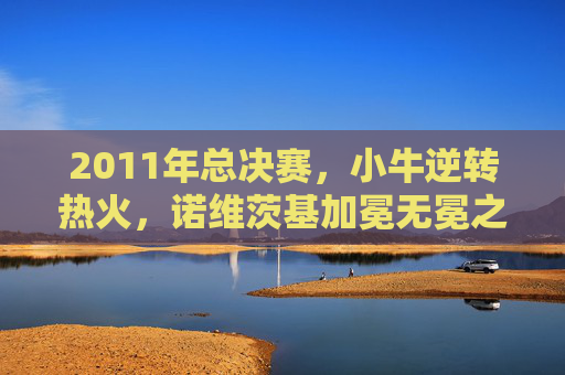 2011年总决赛，小牛逆转热火，诺维茨基加冕无冕之王的救赎之战，2011总决赛救赎之战，诺维茨基率小牛逆转热火加冕无冕之王