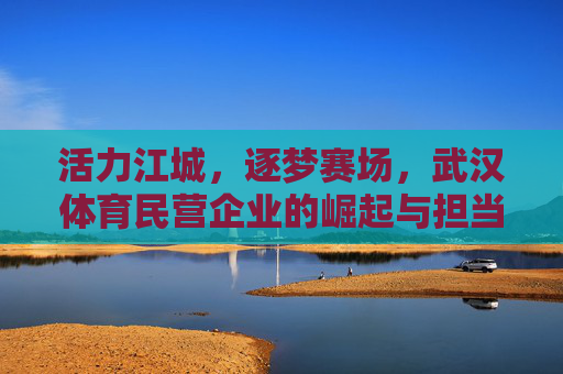 活力江城，逐梦赛场，武汉体育民营企业的崛起与担当，活力江城逐梦赛场，武汉体育民企的崛起与担当