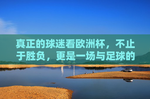 真正的球迷看欧洲杯，不止于胜负，更是一场与足球的深度对话，真正的球迷看欧洲杯，胜负之外，是与足球的深度对话