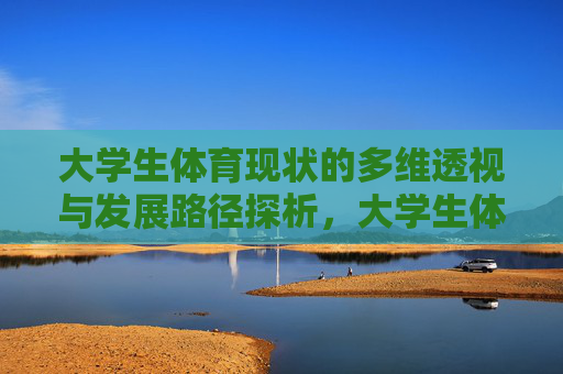 大学生体育现状的多维透视与发展路径探析，大学生体育现状的多维透视与发展路径探析
