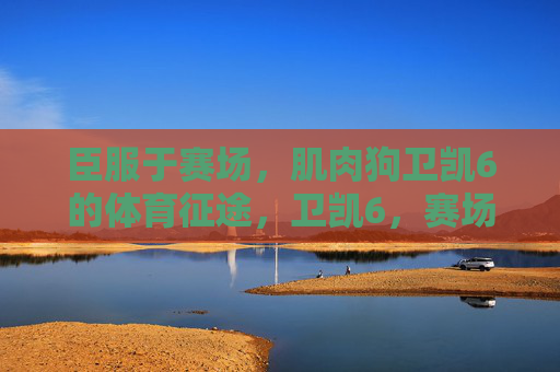 臣服于赛场,肌肉狗卫凯6的体育征途,卫凯6,赛场臣服的肌肉狗征途 臣服于赛场,肌肉狗卫凯6的体育征途,卫凯6,赛场臣服的肌肉狗征途
