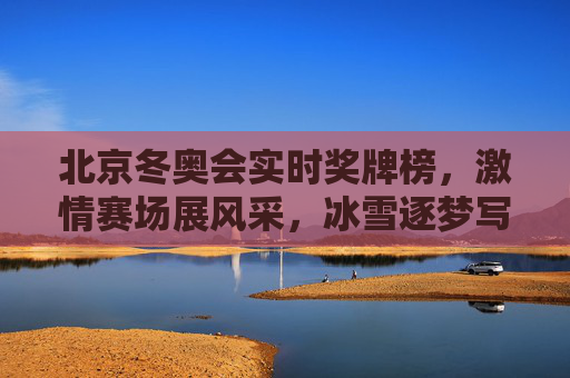 北京冬奥会实时奖牌榜，激情赛场展风采，冰雪逐梦写华章，北京冬奥会实时奖牌榜，赛场风采逐梦华章