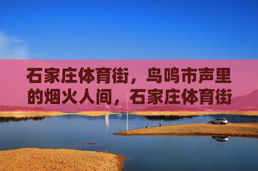 石家庄体育街,鸟鸣市声里的烟火人间,石家庄体育街,鸟鸣市声里的烟火人间 石家庄体育街,鸟鸣市声里的烟火人间,石家庄体育街,鸟鸣市声里的烟火人间