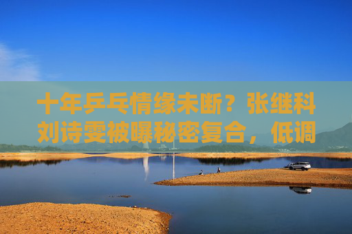 十年乒乓情缘未断？张继科刘诗雯被曝秘密复合，低调相处引热议，张继科刘诗雯被曝秘密复合 十年乒乓情缘低调相处引热议