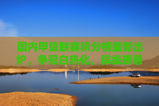 国内甲级联赛积分榜最新出炉，争冠白热化，保级现悬念，国内甲级联赛积分榜出炉，争冠白热化，保级悬念犹存