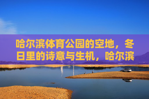 哈尔滨体育公园的空地，冬日里的诗意与生机，哈尔滨体育公园冬日空地，诗意与生机