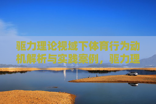 驱力理论视域下体育行为动机解析与实践案例，驱力理论视域下体育行为动机解析与实践案例