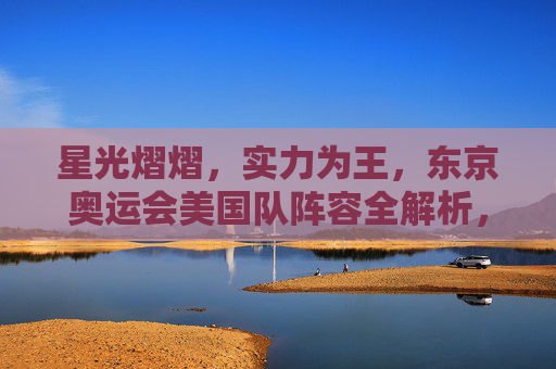 星光熠熠，实力为王，东京奥运会美国队阵容全解析，星光熠熠，实力为王，东京奥运会美国队阵容全解析