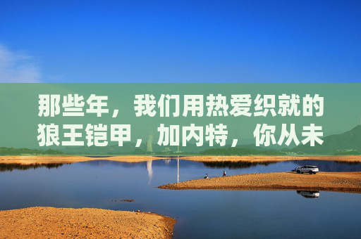那些年，我们用热爱织就的狼王铠甲，加内特，你从未孤单，加内特的狼王铠甲，热爱织就，从未孤单