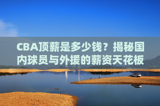 CBA顶薪是多少钱？揭秘国内球员与外援的薪资天花板，CBA顶薪揭秘，国内球员与外援薪资天花板是多少？