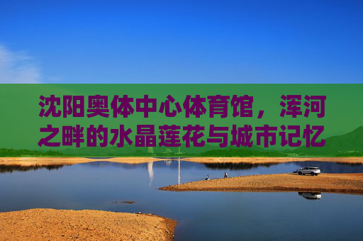 沈阳奥体中心体育馆，浑河之畔的水晶莲花与城市记忆，浑河畔水晶莲花，沈阳奥体中心的城市记忆