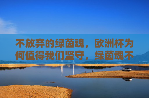 不放弃的绿茵魂,欧洲杯为何值得我们坚守,绿茵魂不灭,坚守为热爱 不放弃的绿茵魂,欧洲杯为何值得我们坚守,绿茵魂不灭,坚守为热爱