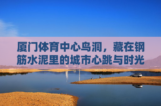厦门体育中心鸟洞,藏在钢筋水泥里的城市心跳与时光印记,厦门体育中心鸟洞,钢筋水泥里的城市心跳与时光印记 厦门体育中心鸟洞,藏在钢筋水泥里的城市心跳与时光印记,厦门体育中心鸟洞,钢筋水泥里的城市心跳与时光印记