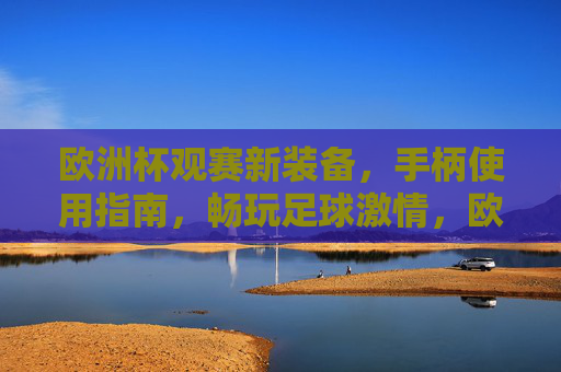 欧洲杯观赛新装备,手柄使用指南,畅玩足球激情,欧洲杯手柄使用指南,新装备畅玩足球激情 欧洲杯观赛新装备,手柄使用指南,畅玩足球激情,欧洲杯手柄使用指南,新装备畅玩足球激情