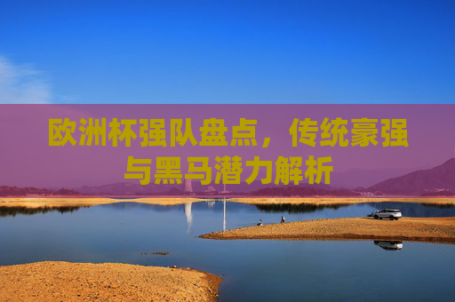 欧洲杯强队盘点,传统豪强与黑马潜力解析 欧洲杯强队盘点,传统豪强与黑马潜力解析